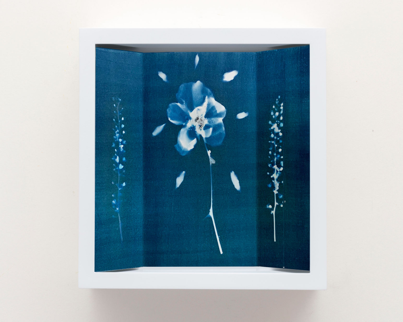 Janelle Lynch Thrive, 2022