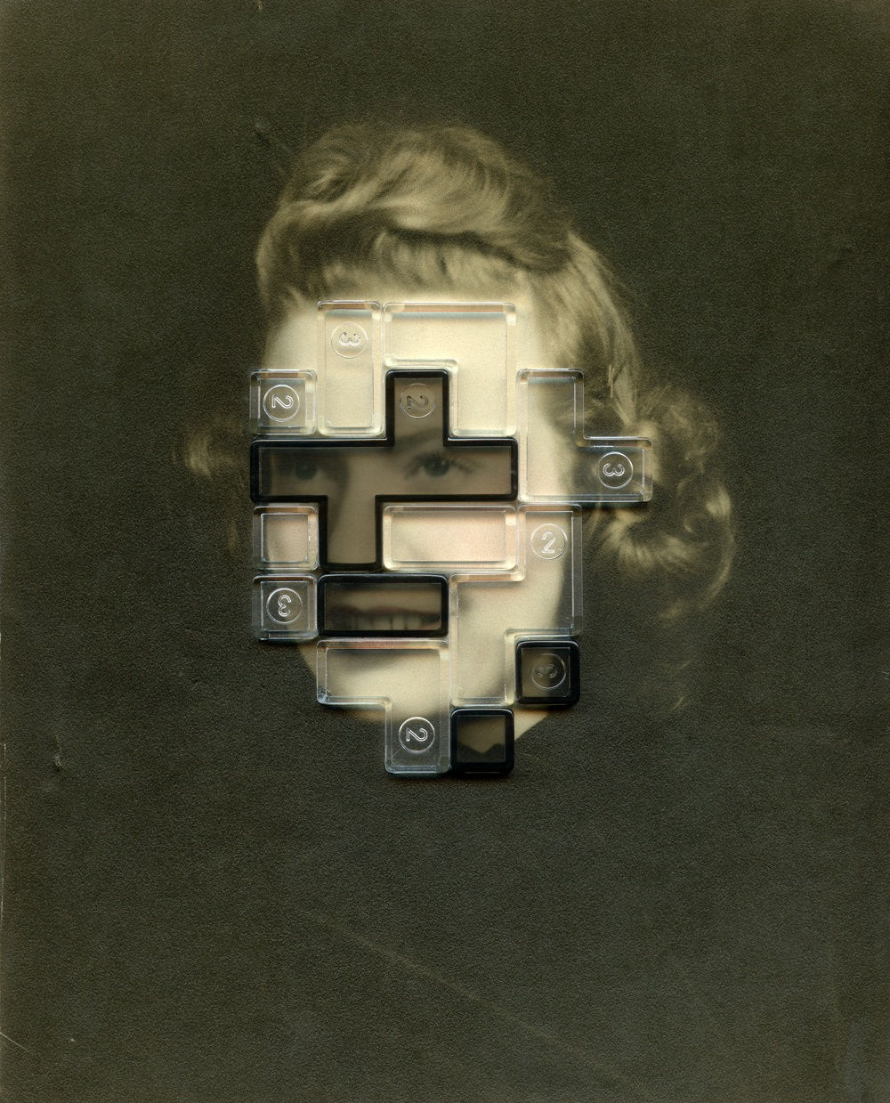 Julie Cockburn Disguise, 2013