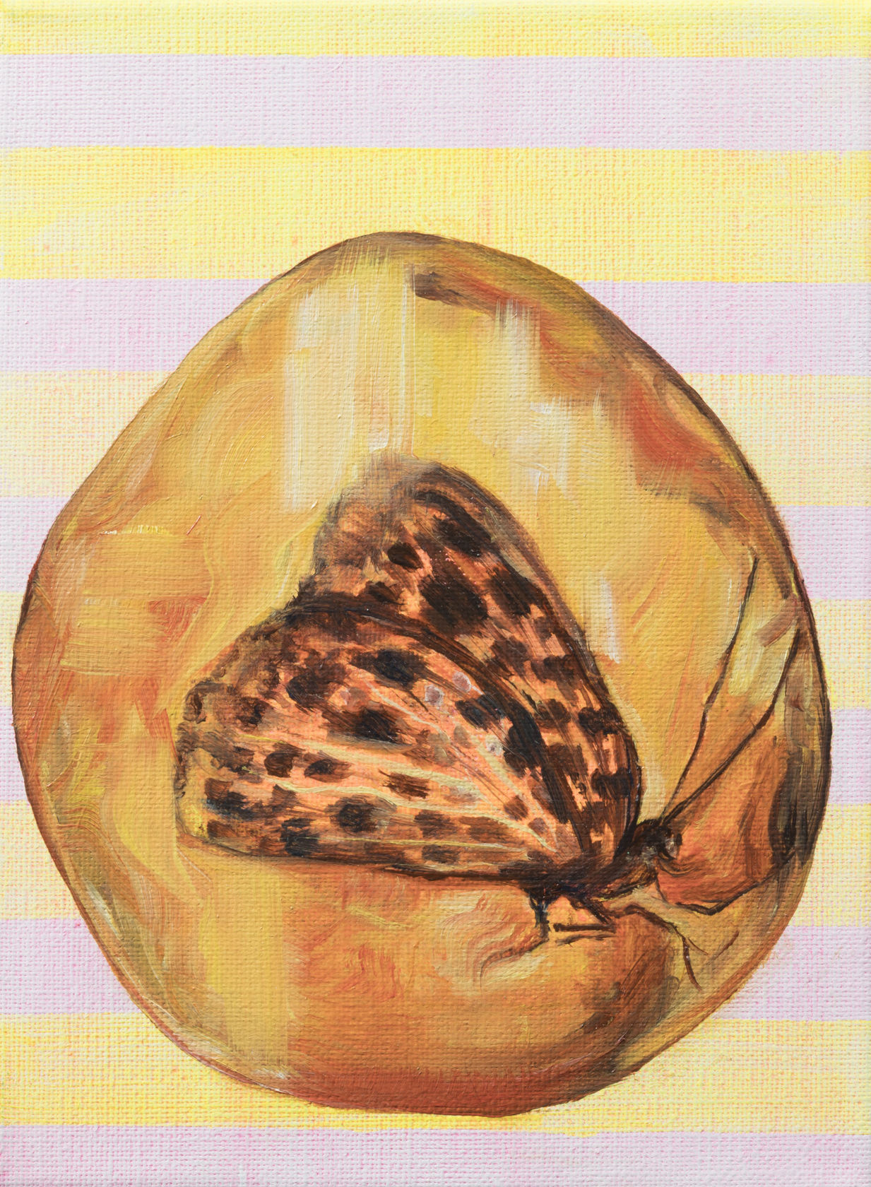 Lily Koto Olive Manifest , 2017