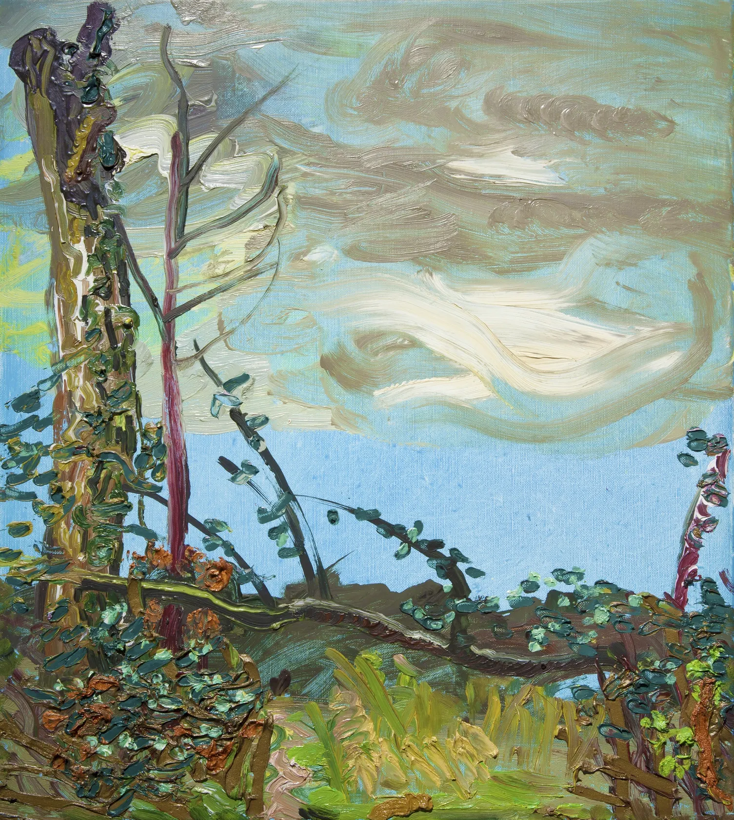 Peter Schmersal, Baumstumpf, Unterholz, 2011