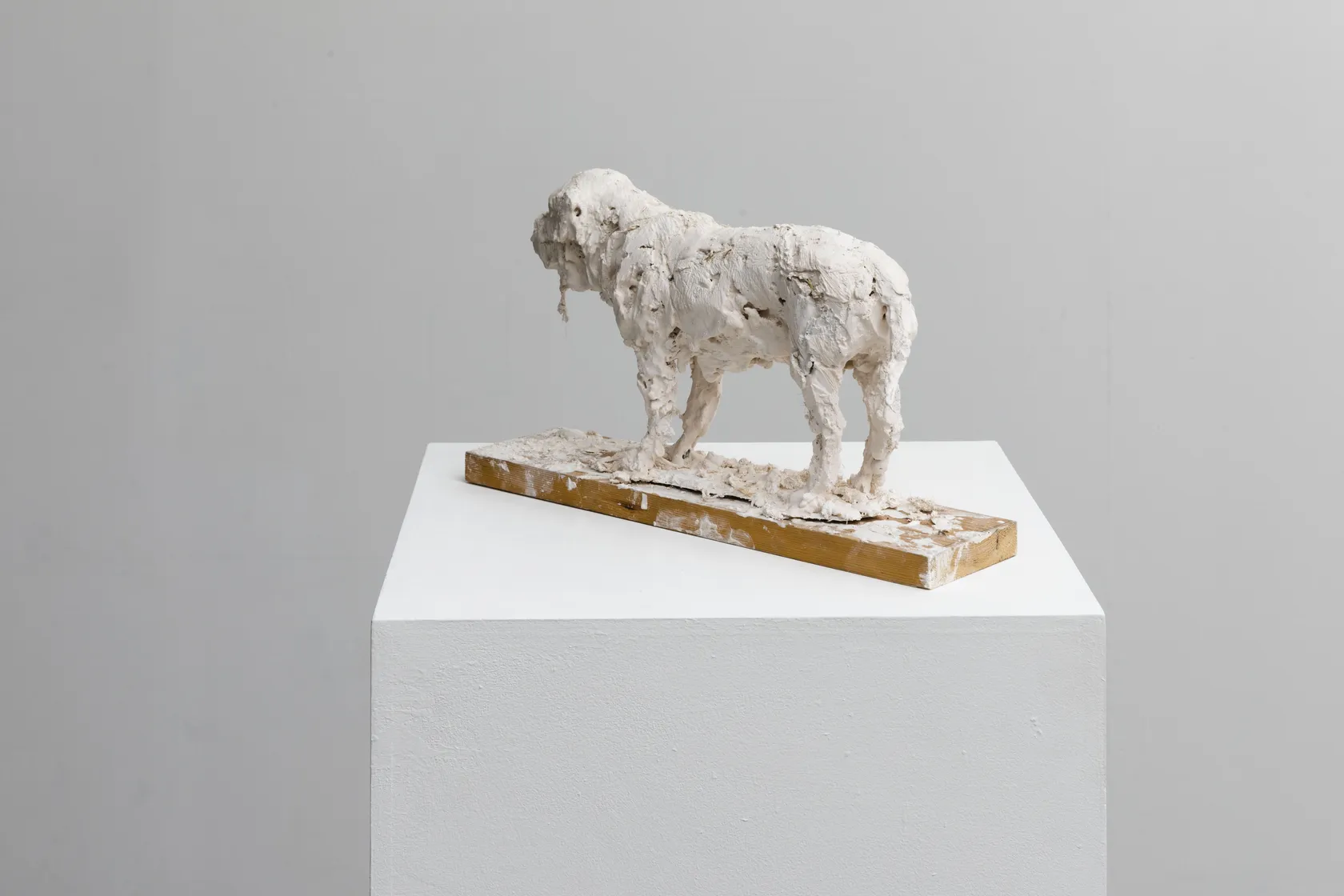 Nicola Hicks, Plato 1, 2019