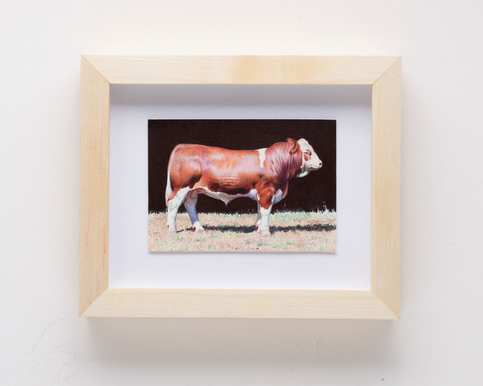 Nicolas V. Sanchez Toro marrón, 2023