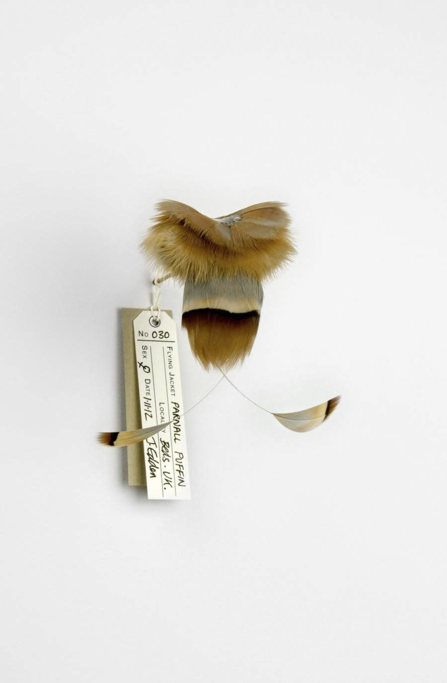 Jane Edden, 30 Parnall Puffin, 2012