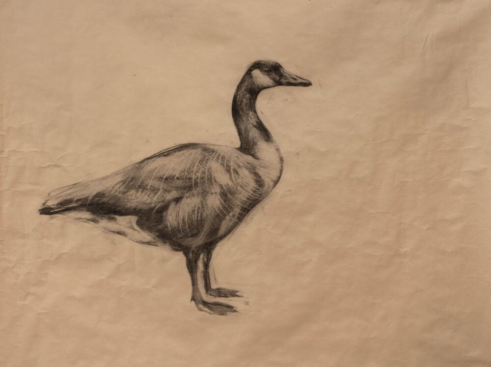Nicola Hicks Untitled (Goose) , 2014