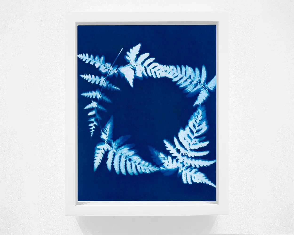 Janelle Lynch Fern Wreath, 2021