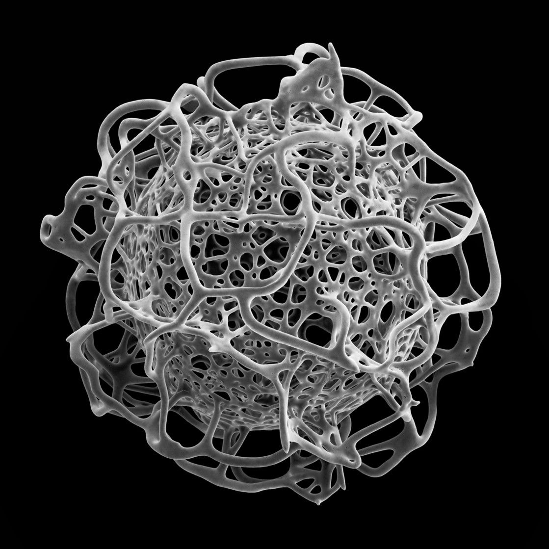 Michael Benson Radiolarian #1 , 2023
