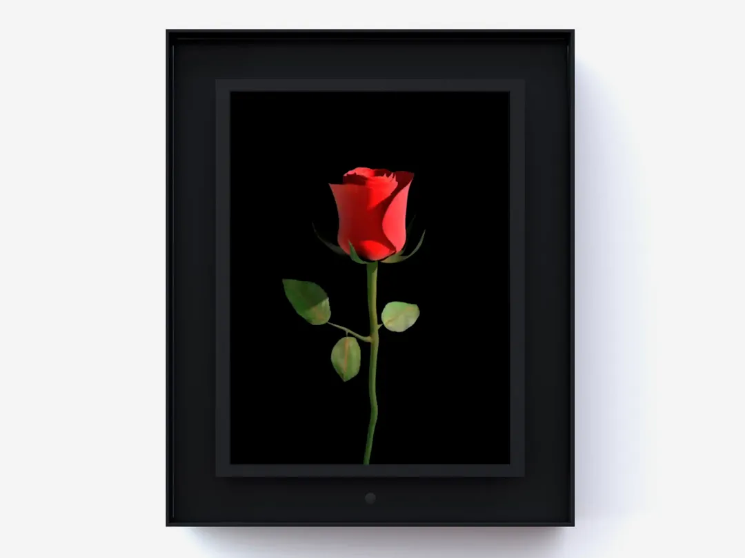 Dominic Harris, Bloomed: Rose, 2016