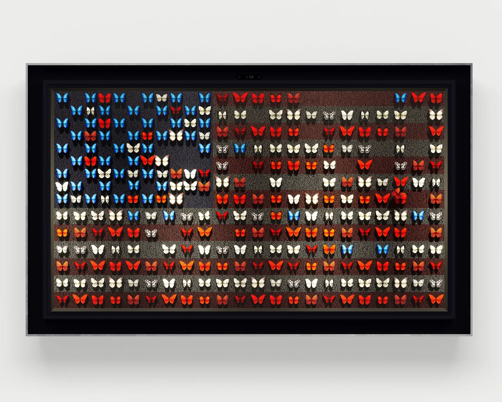 Dominic Harris Sounds of Liberty