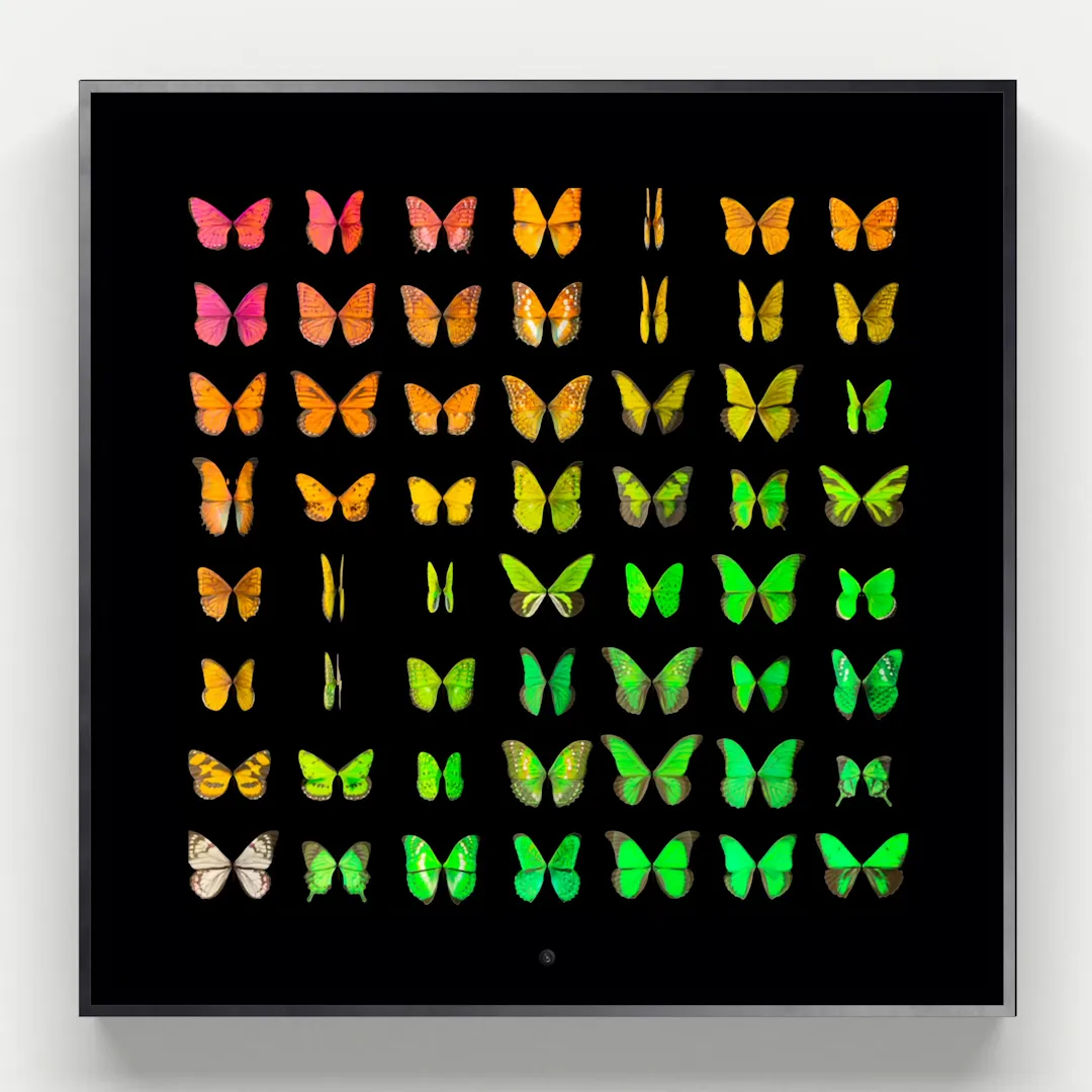 Dominic Harris, Metamorphosis: Unseen, 2023