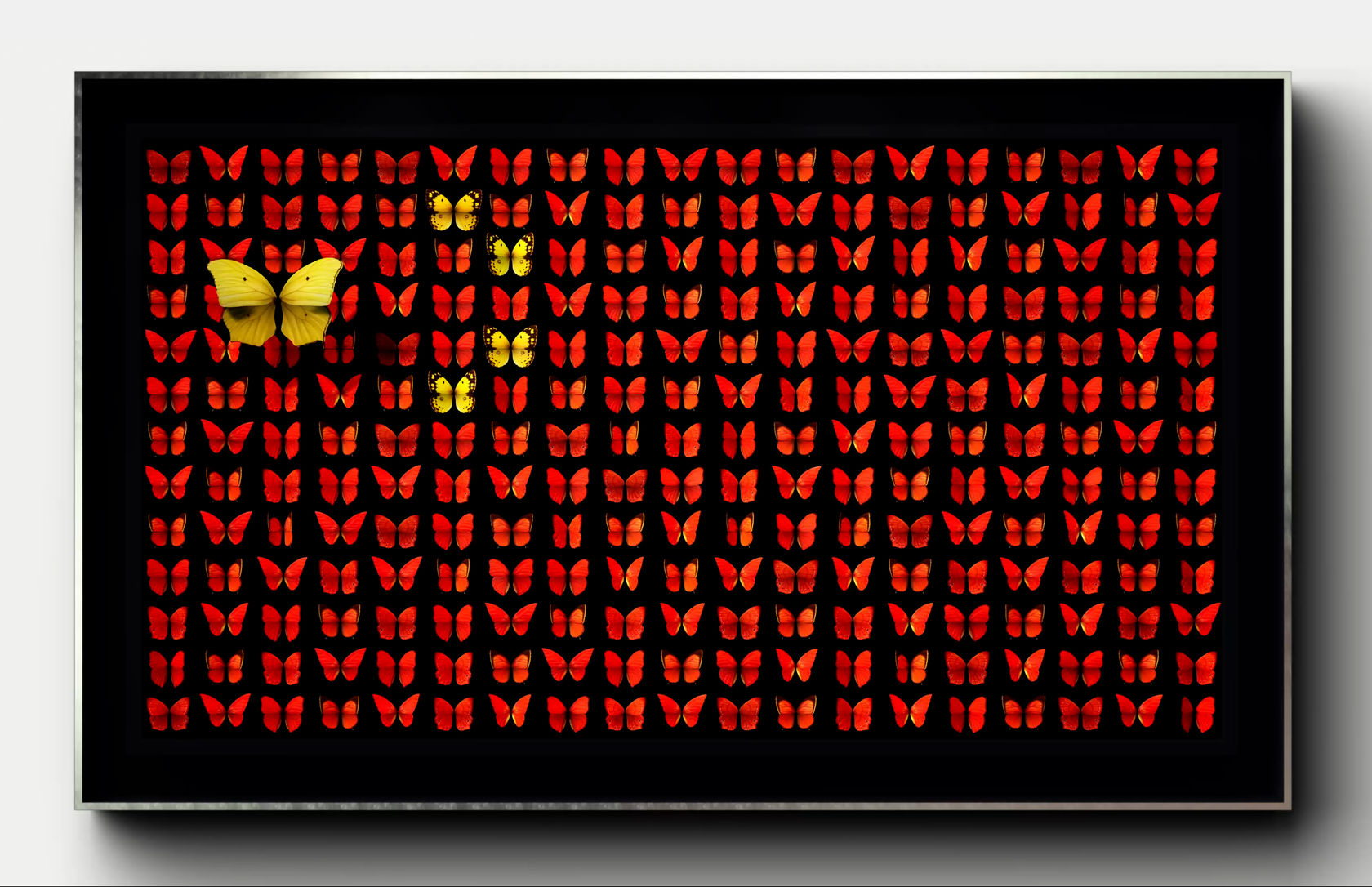 Dominic Harris, World Stage, China