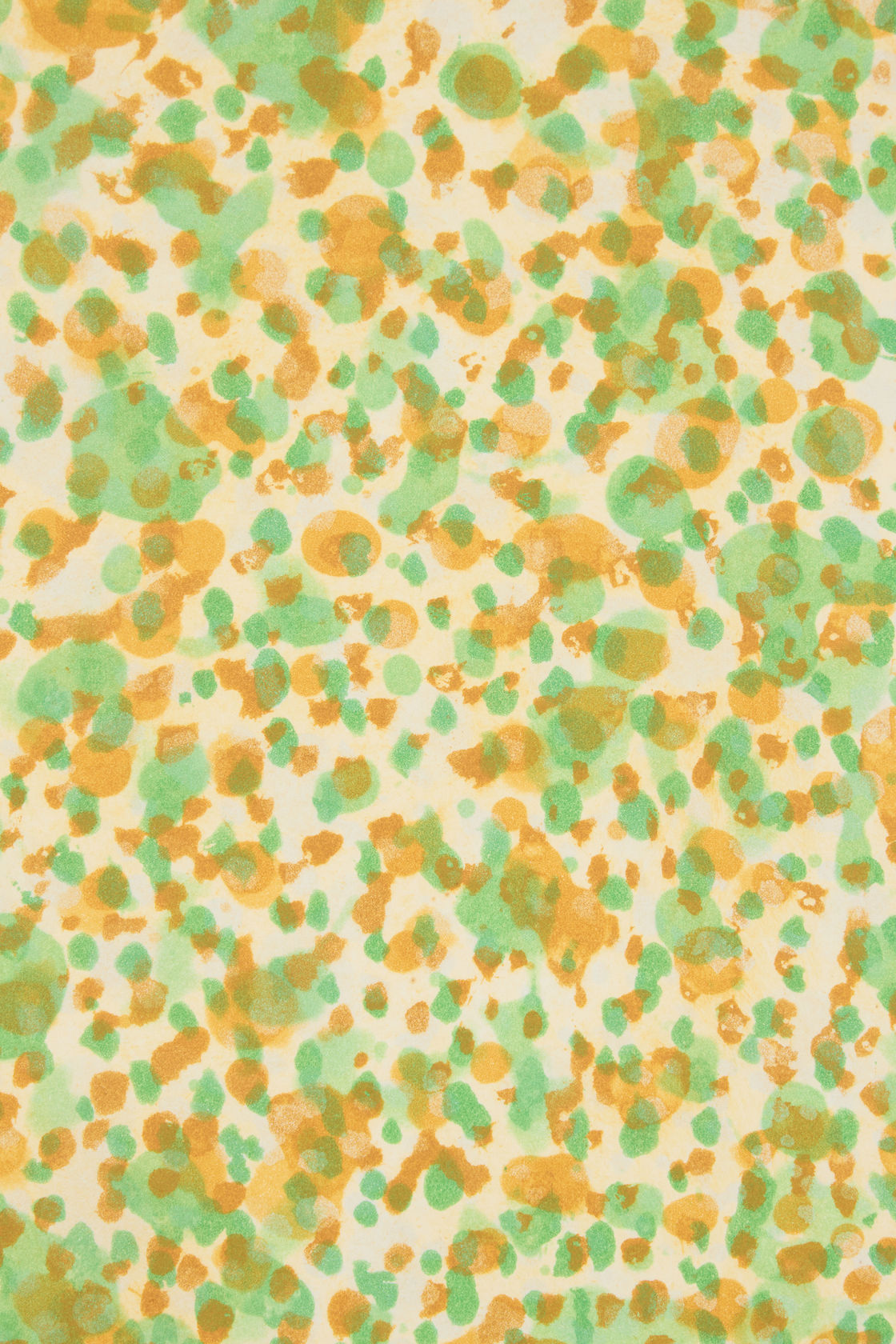 David Hockney Contrejour in the French Style