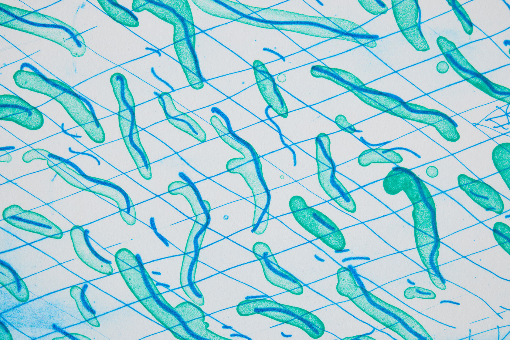 David Hockney, Lithograph of Water Made of Lines and a Green Wash, 1978-80