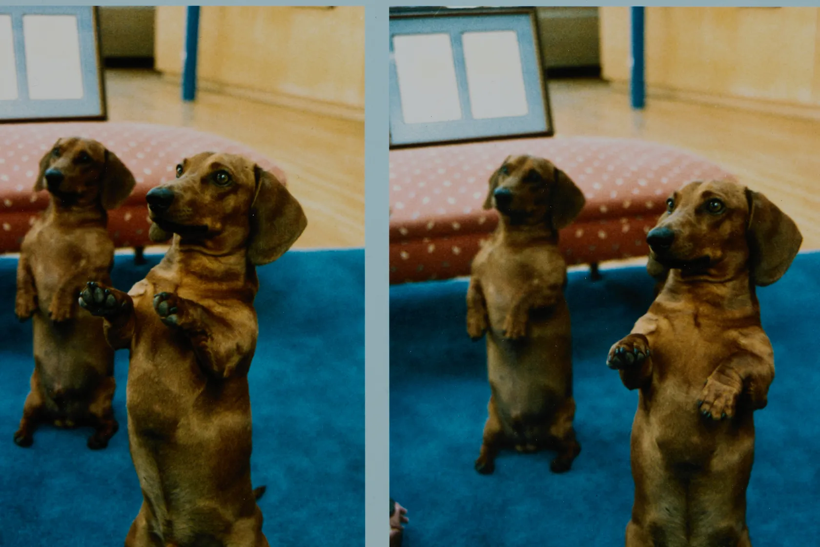 David Hockney, Stanley + Heinz, L.A., 1988, 1988