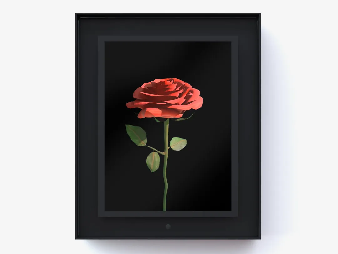 Dominic Harris, Bloomed: Rose, 2016