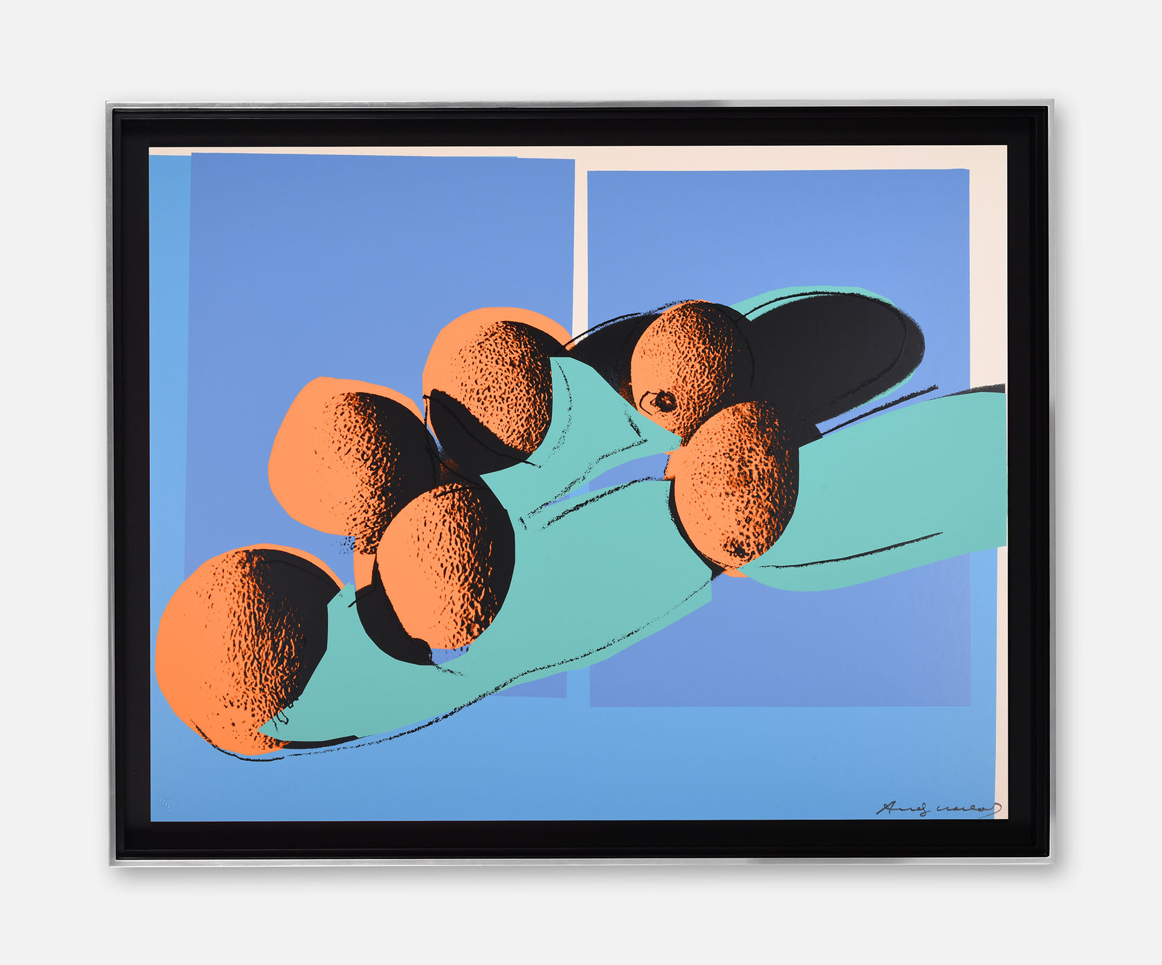 Andy Warhol Space Fruit: Still Lifes