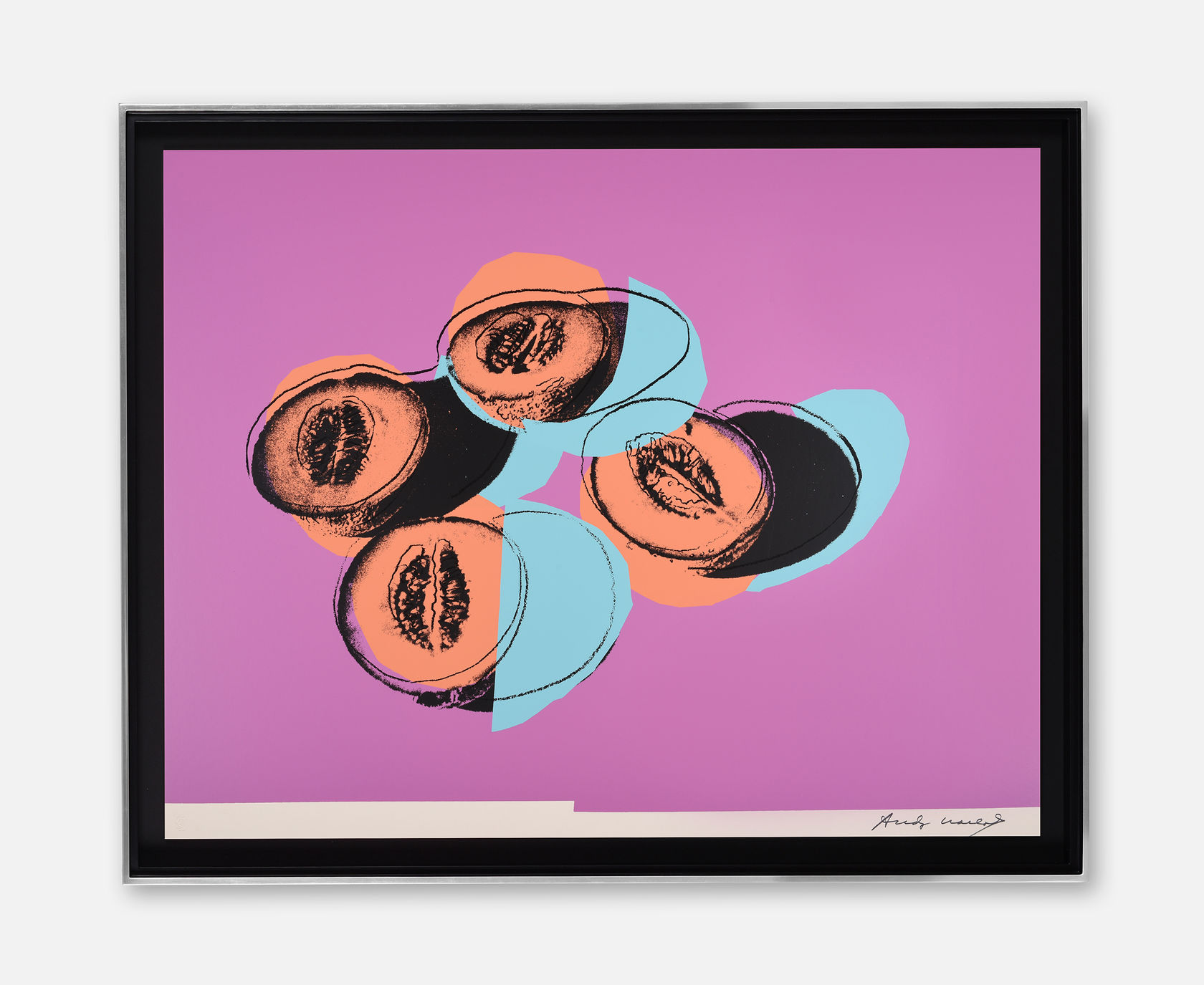 Andy Warhol Space Fruit: Still Lifes