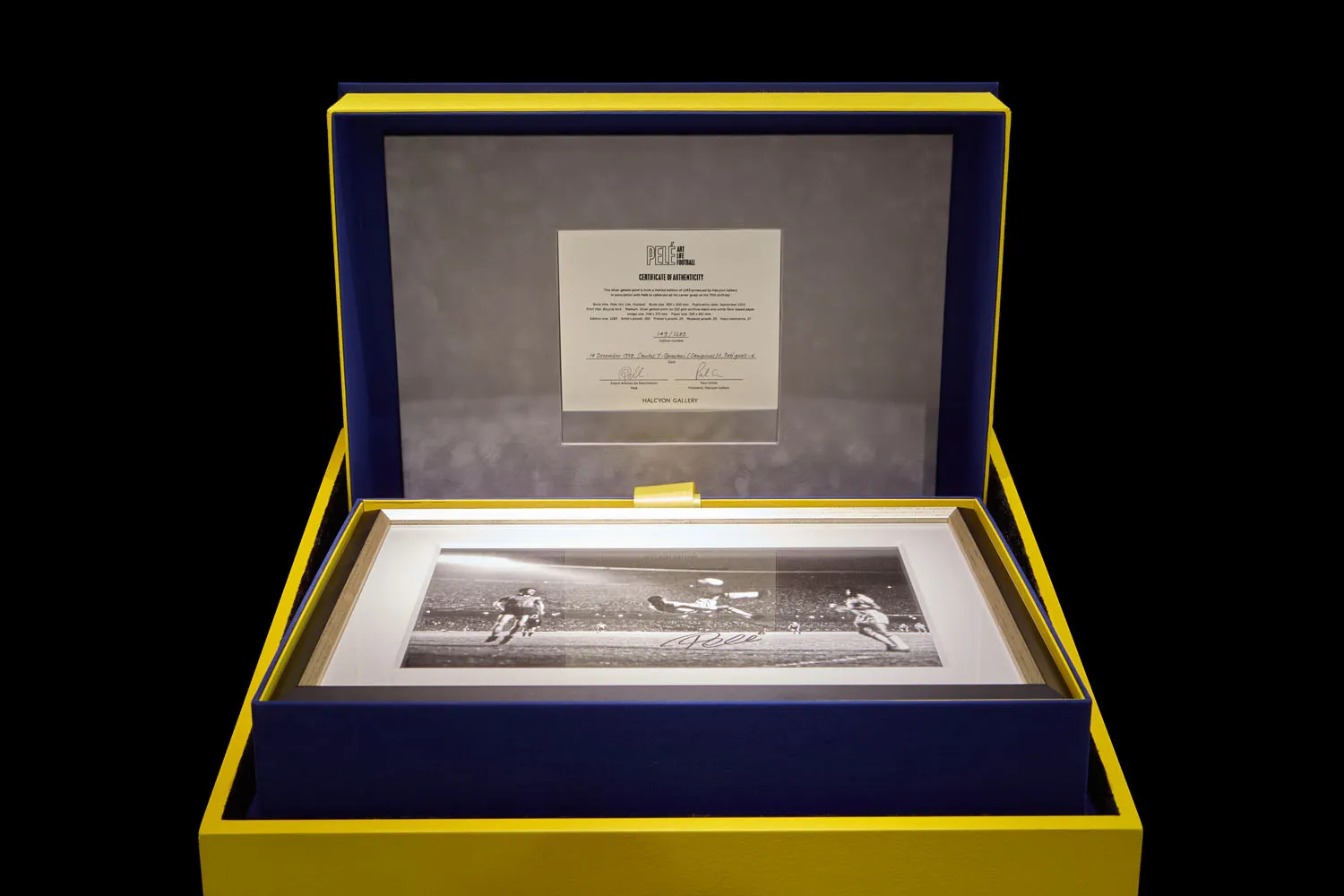 Pelé Pelé: Art, Life, Football