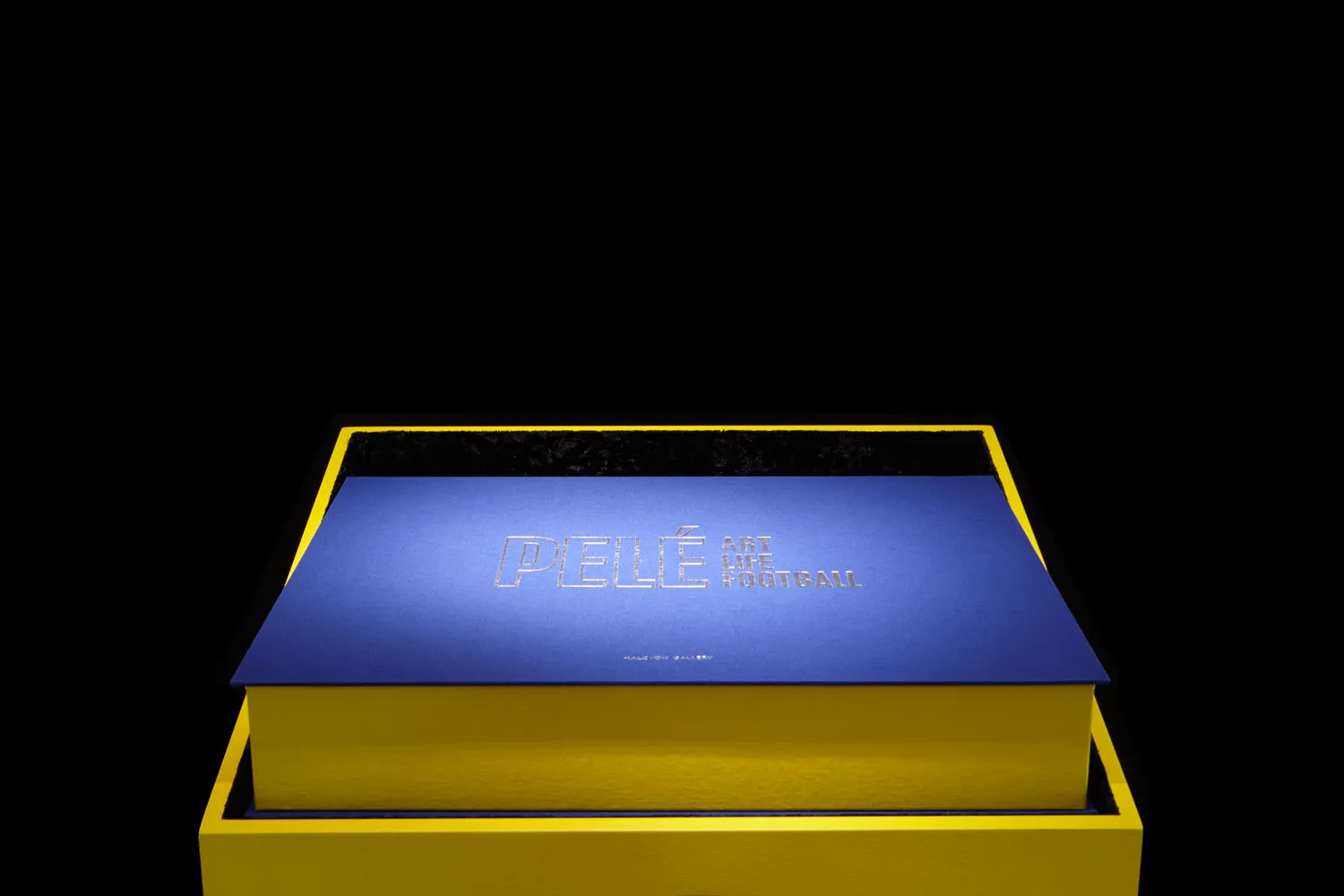 Pelé Pelé: Art, Life, Football