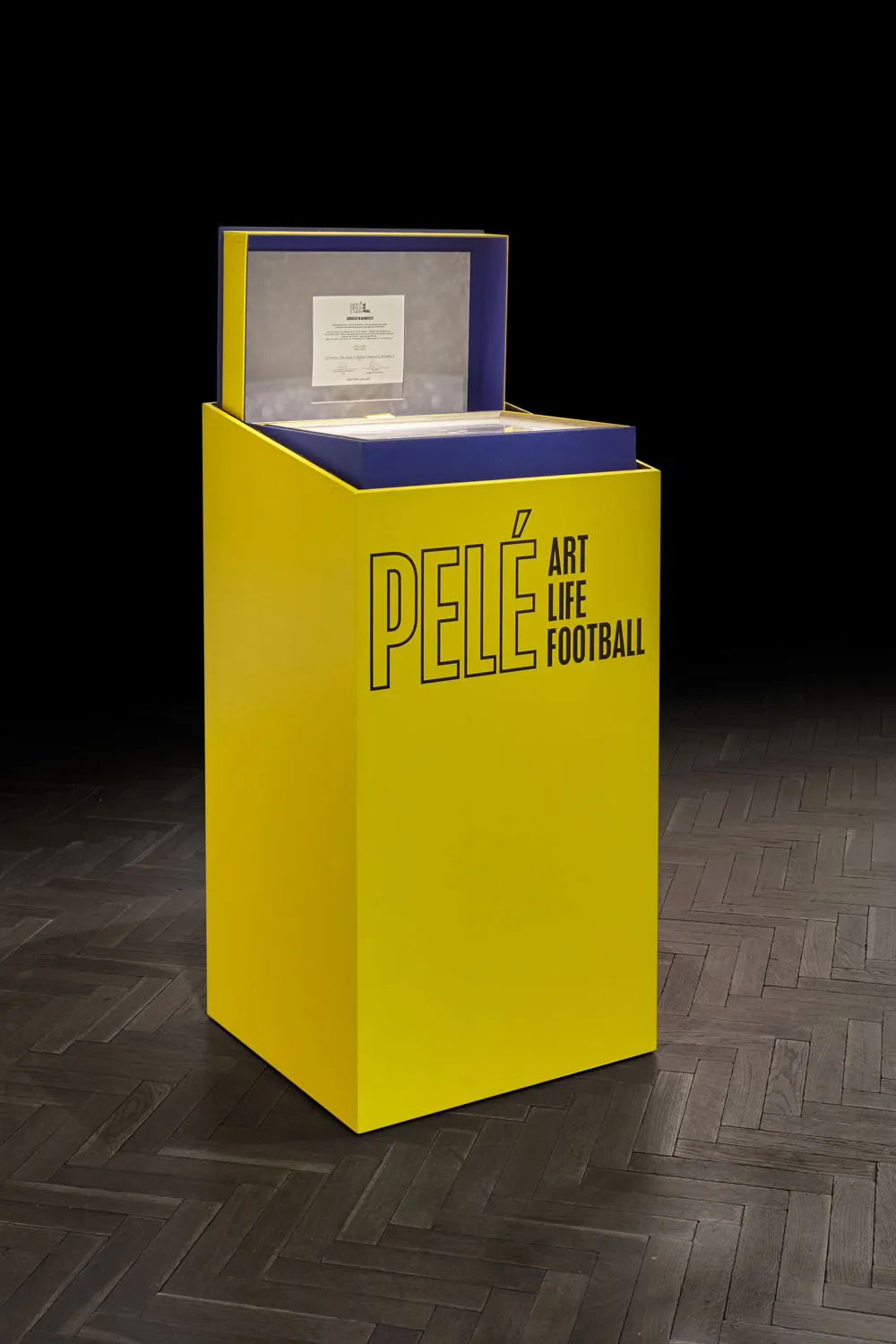 Pelé Pelé: Art, Life, Football