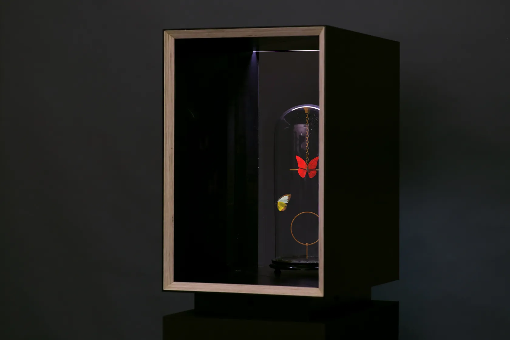 Dominic Harris, Flutter Hologram: Pendulum, 2023