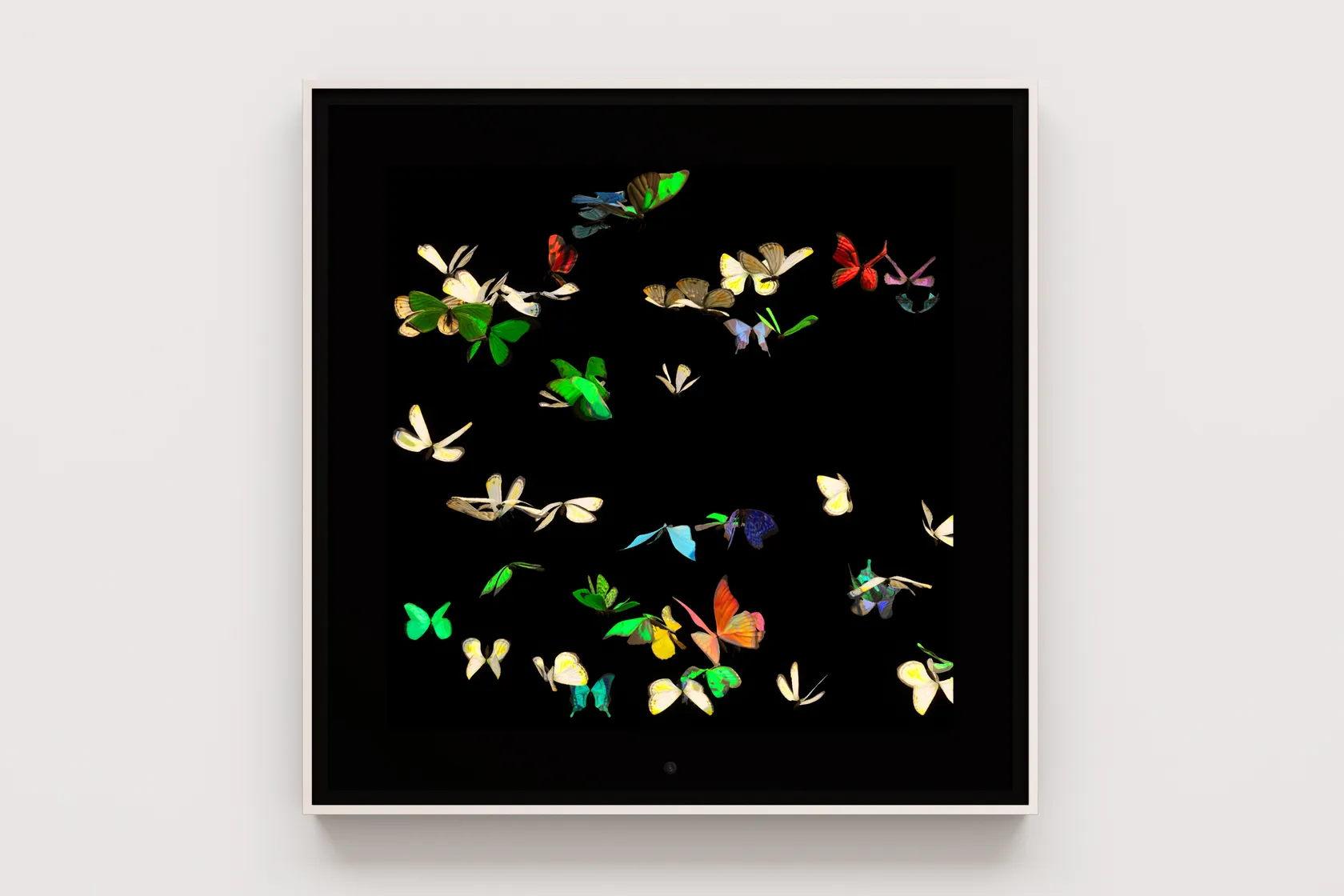 Dominic Harris, Metamorphosis: Unseen, 2023