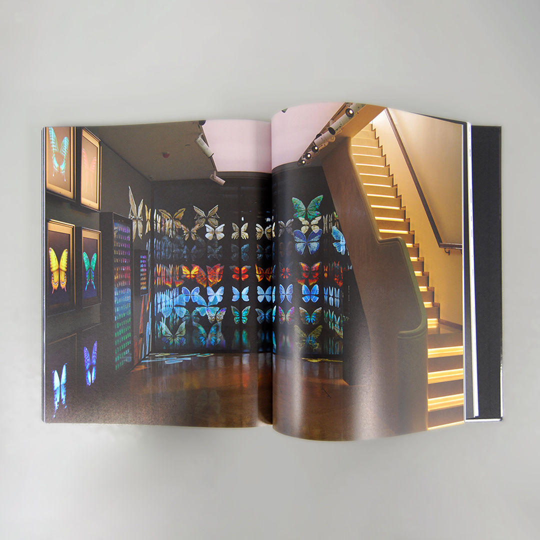 Dominic Harris Dominic Harris: Feeding Consciousness Book