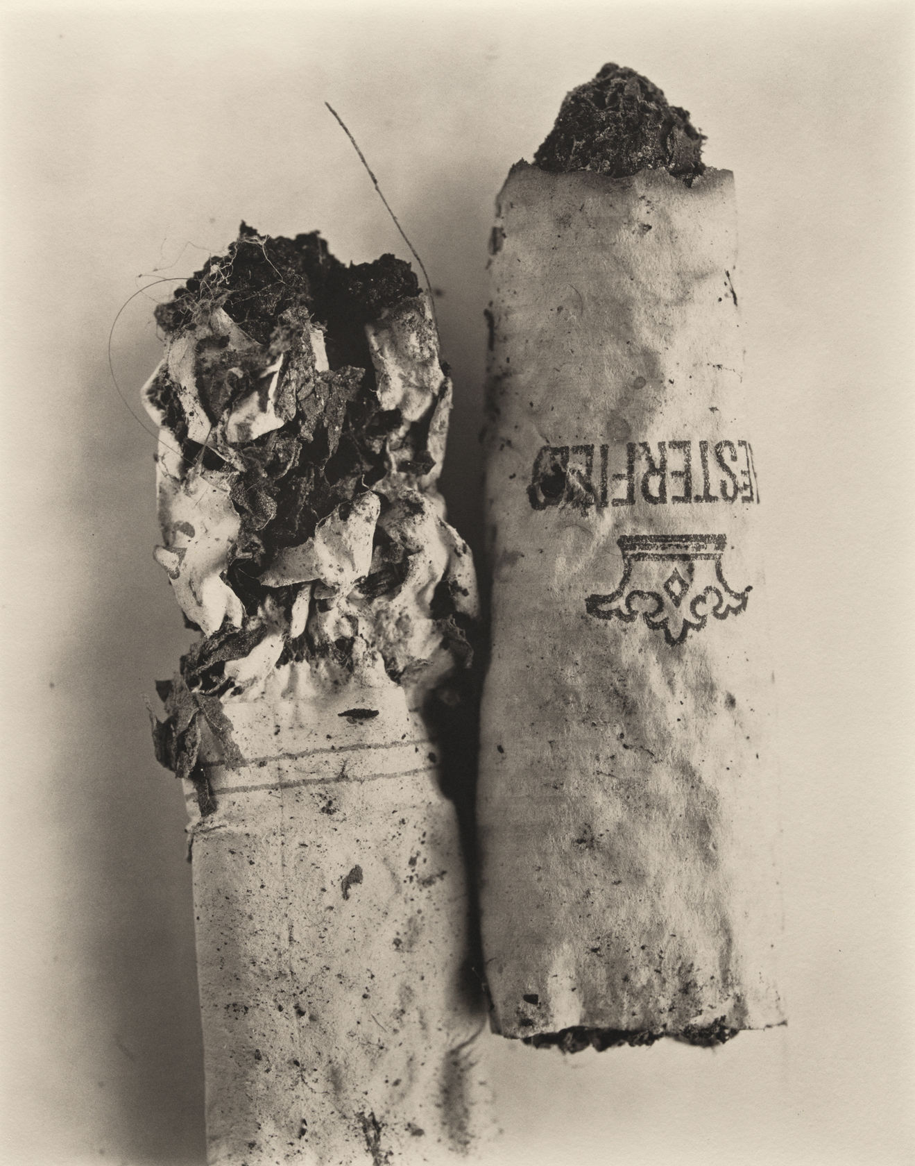 Irving Penn Cigarette No. 48, New York, 1972, print made 1975 Platinum-palladium print mounted to aluminium 59.7 x 47 cm...