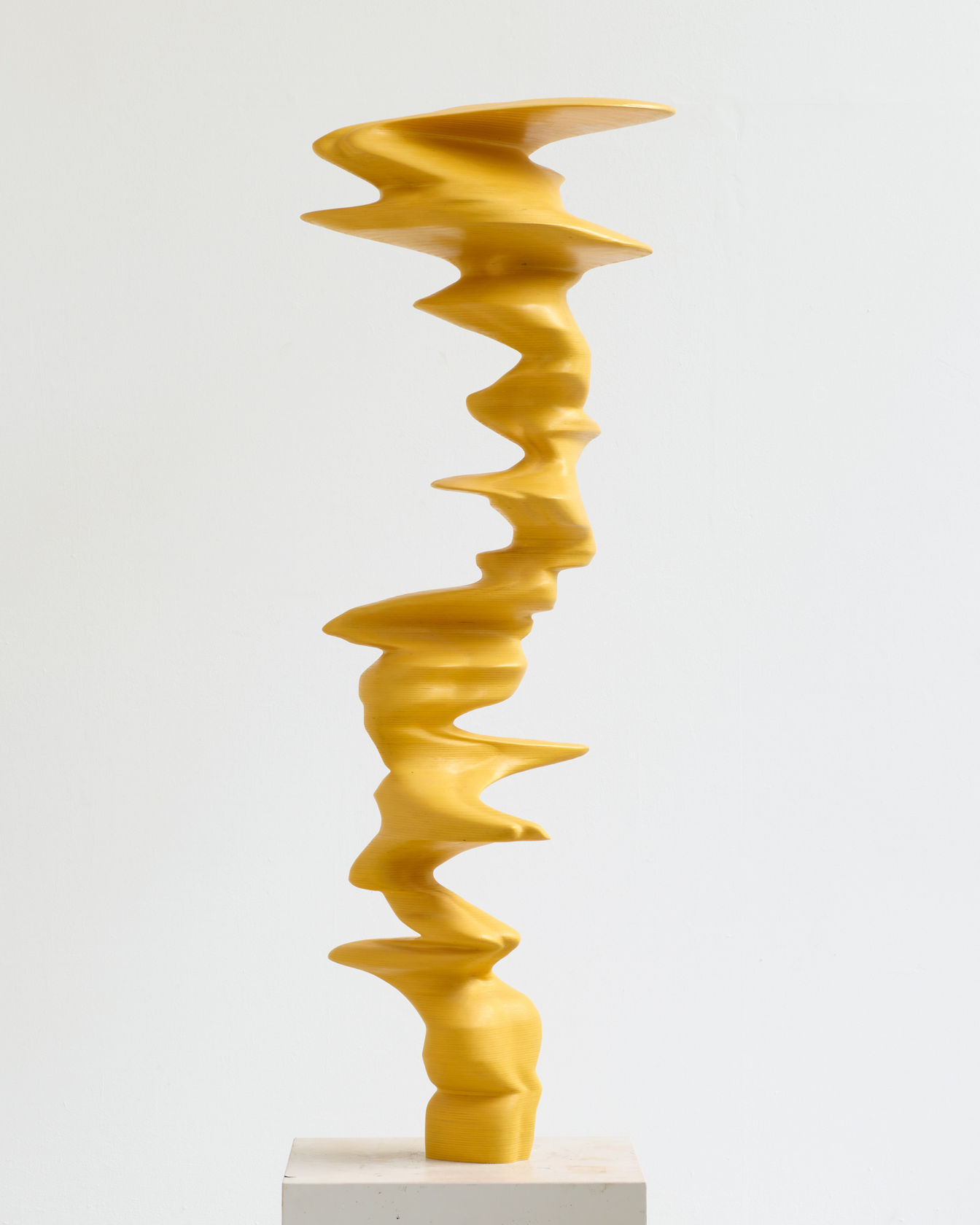 Tony Cragg Ivy, 2021 Wood 150 x 50 x 50 cm (59.06 x 19.69 x 19.69 in)