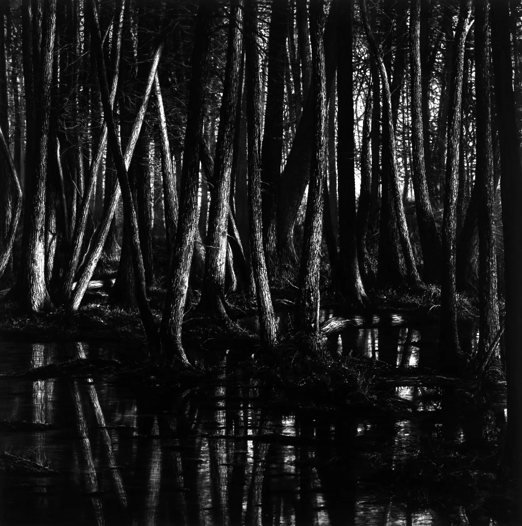 Robert Longo, Untitled (American Swamp), 2021