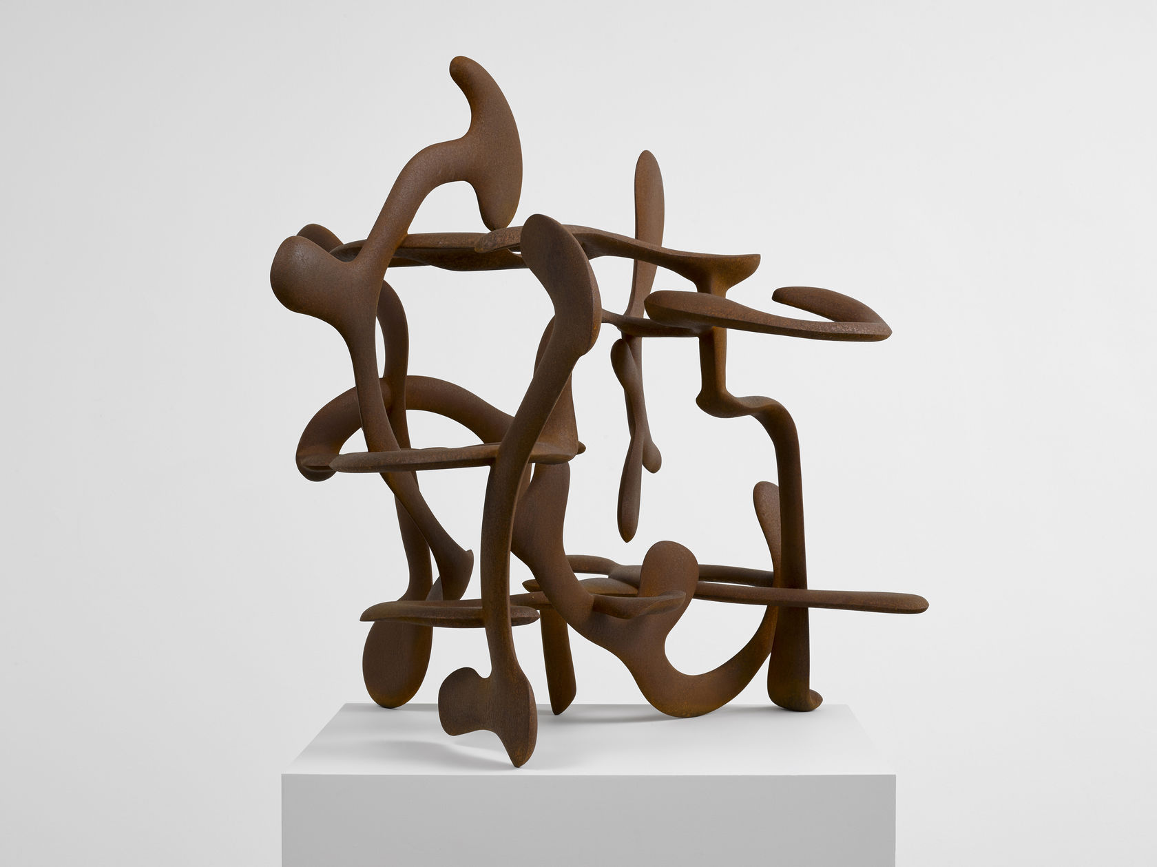 Tony Cragg, Hedge (2016); Thaddaeus Ropac