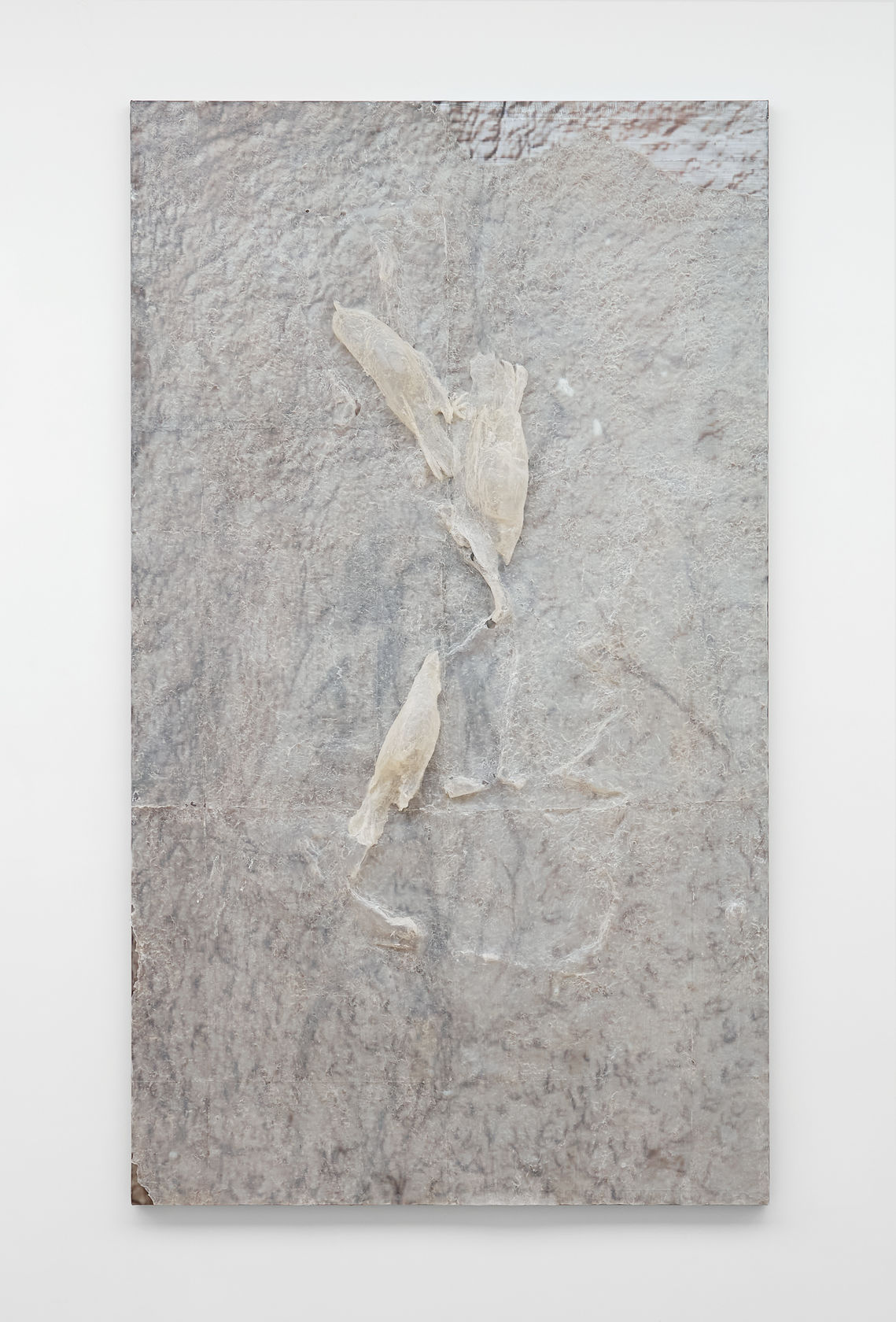 Heemin Chung, I Will Give My Love to Pigeons, 2024