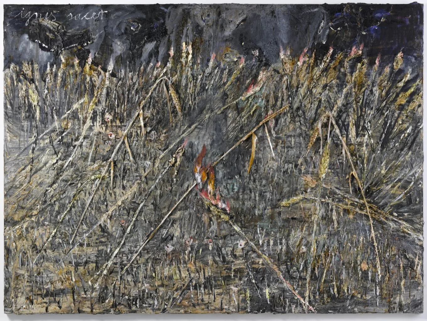 Anselm Kiefer, ignis sacer, 2014
