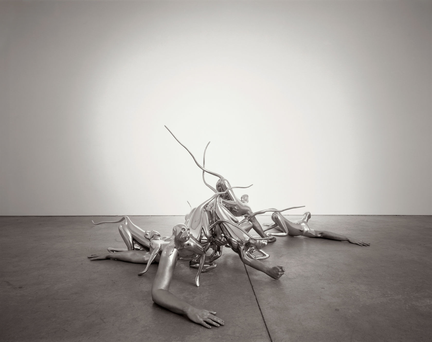 Rona Pondick, Monkeys, 1998-2001