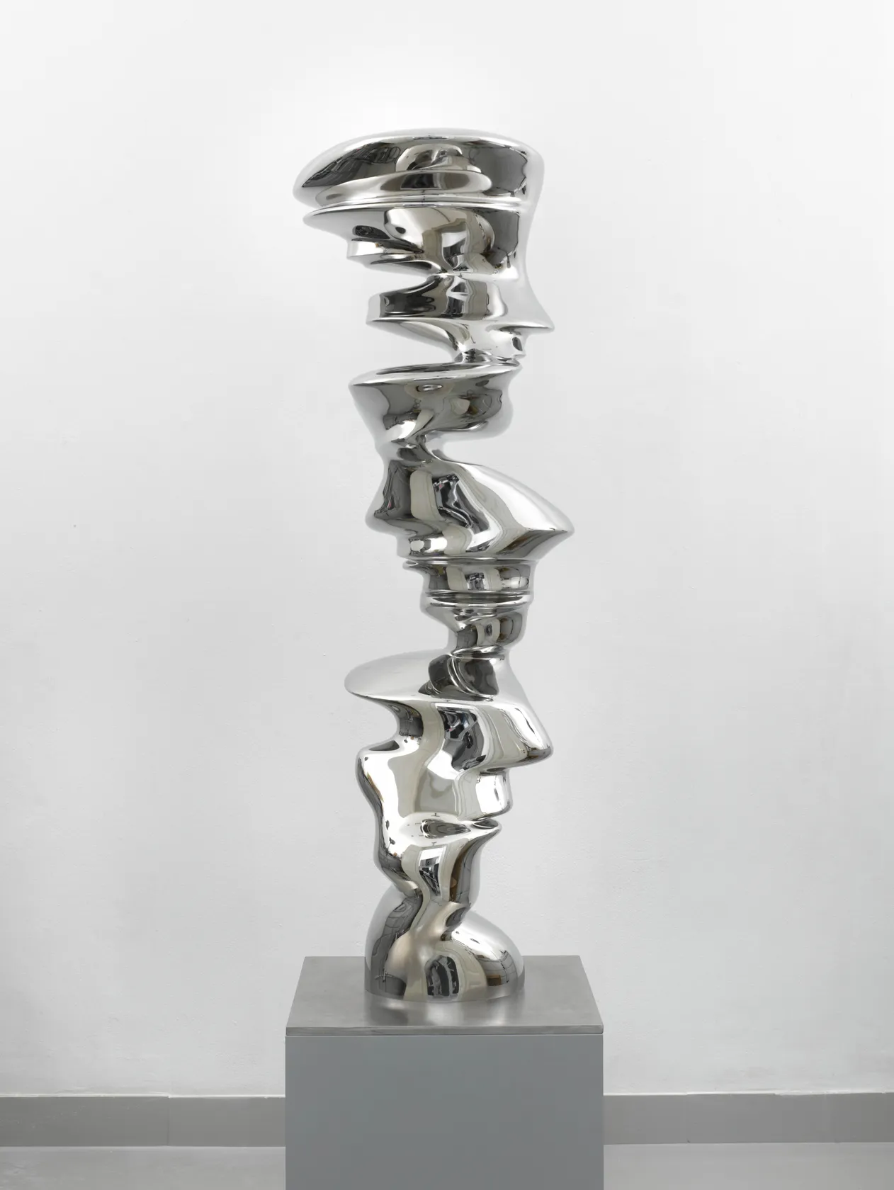 Tony Cragg, Hardline, 2010