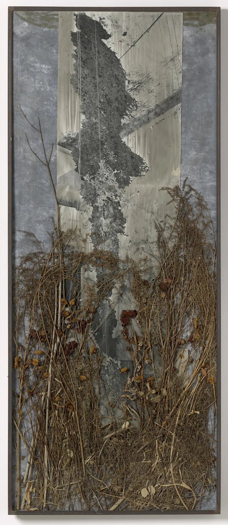 Anselm Kiefer, Der Eingeborene, 1986