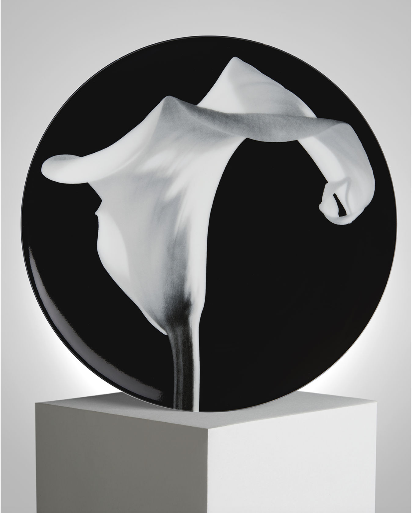 Robert Mapplethorpe 'Arum' Porcelain Plate