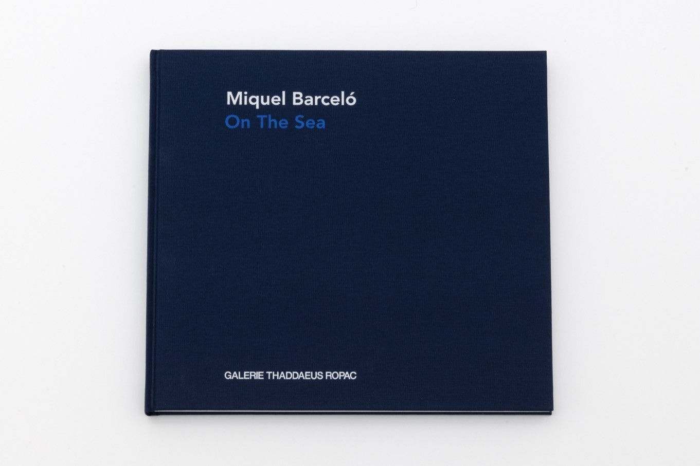 Miquel Barceló On The Sea