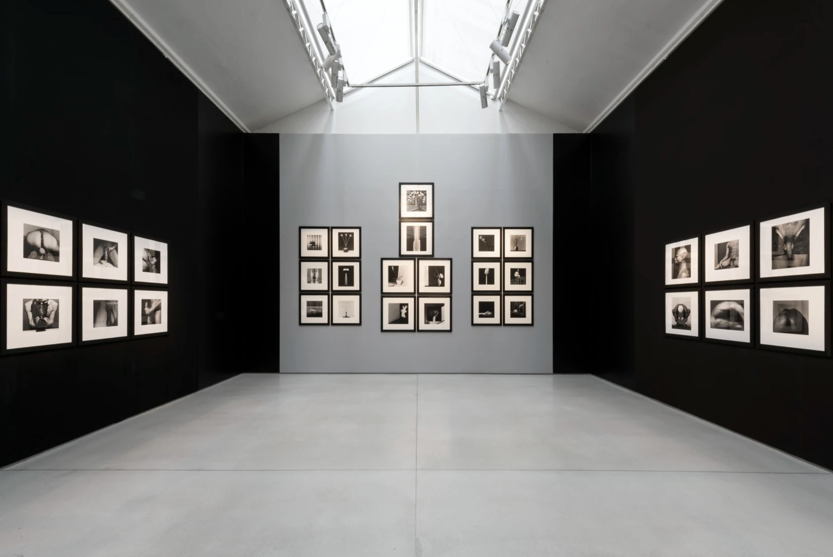Robert Mapplethorpe XYZ Curated by Peter Marino