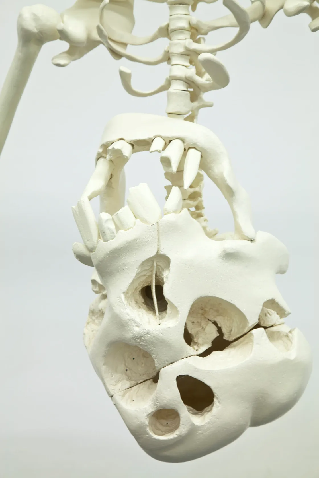 Tom Friedman Untitled (Green Balloon with Skeleton), 2012