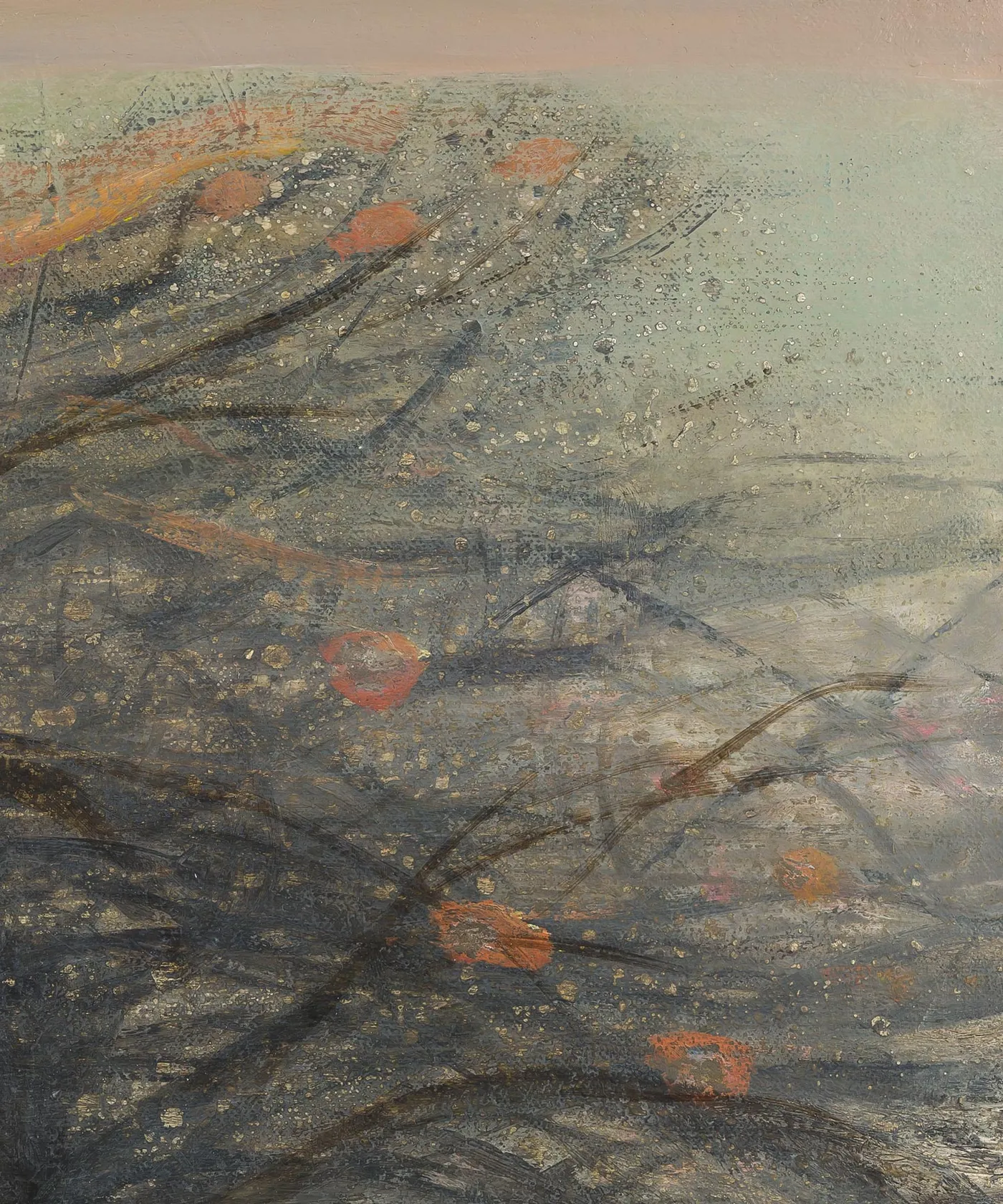 Ged Quinn Hobblebush, 2019