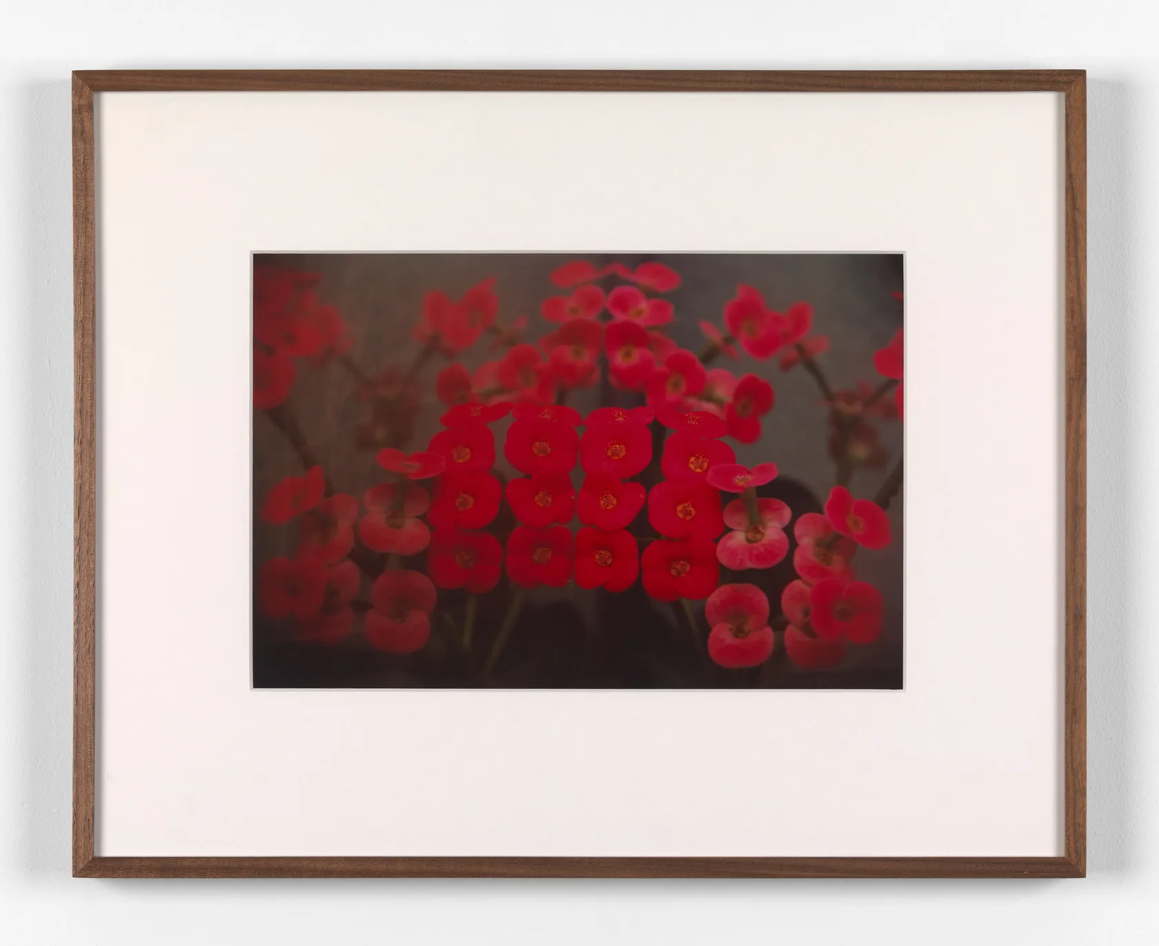 Rivane Neuenschwander A place not far from here, 2009