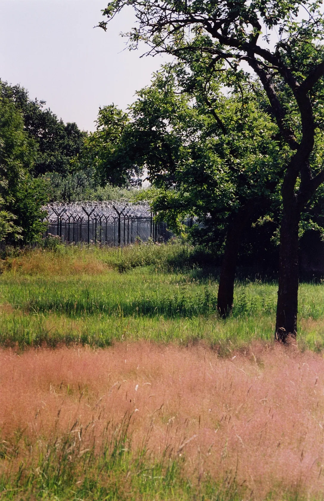 Kendell Geers, Waiting for the Barbarians, 2001