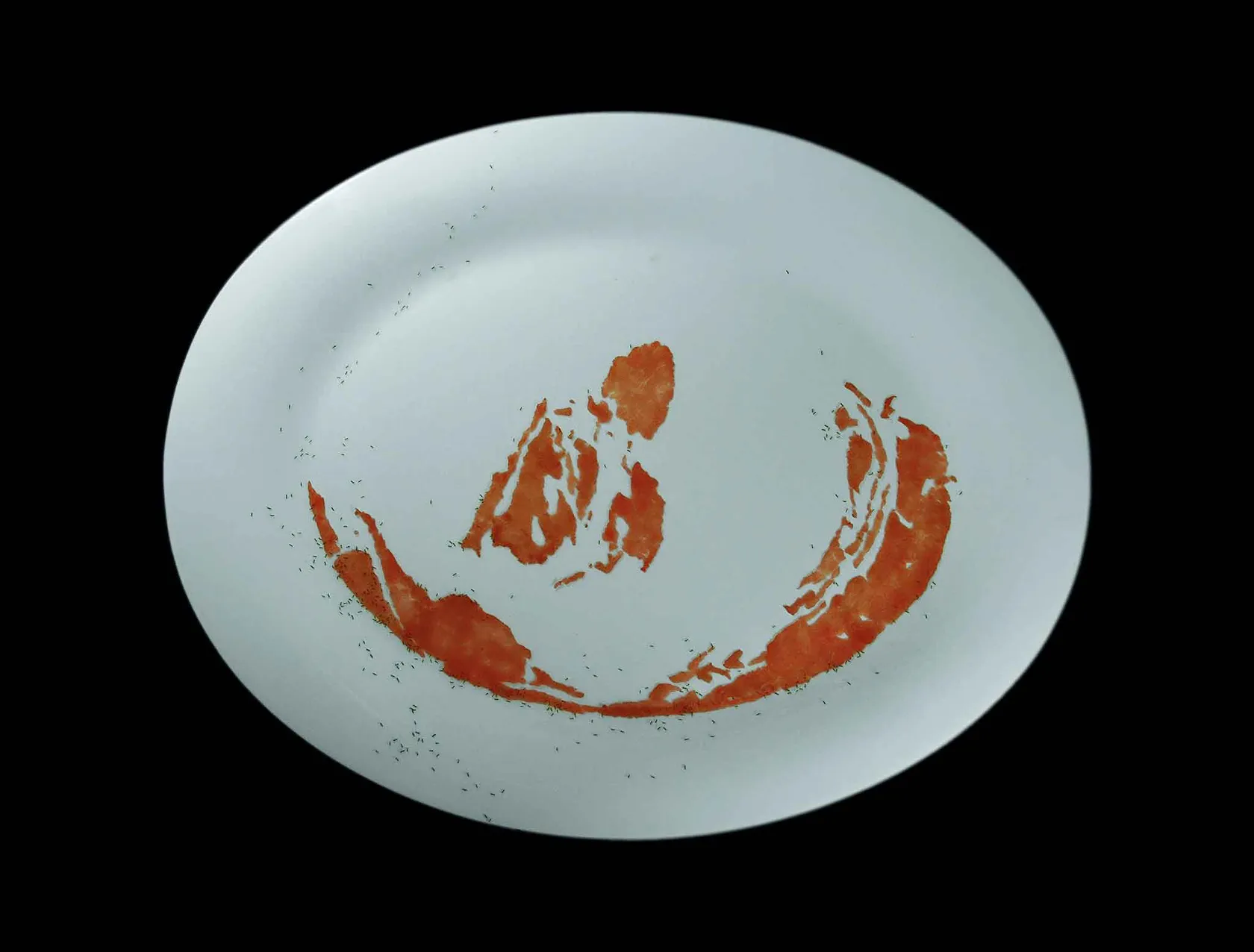 Rivane Neuenschwander Pangaea’s Diaries, 2008