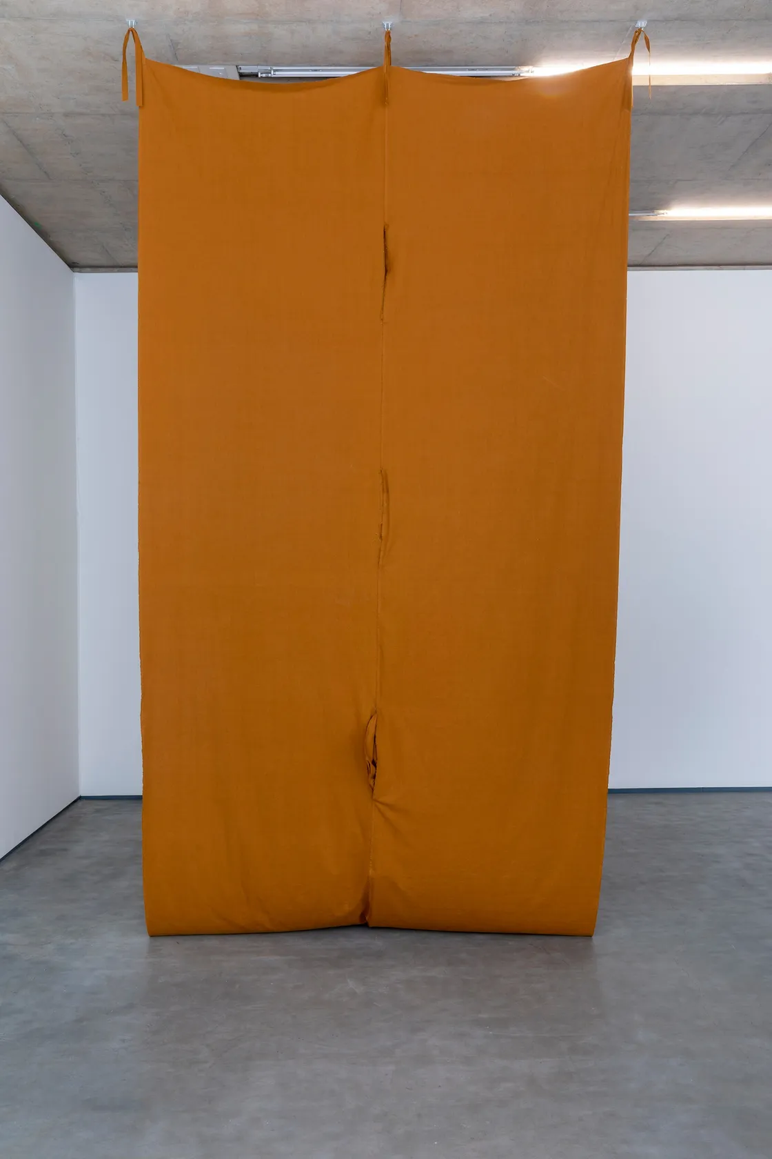 Claire Barclay, Thrum, 2022