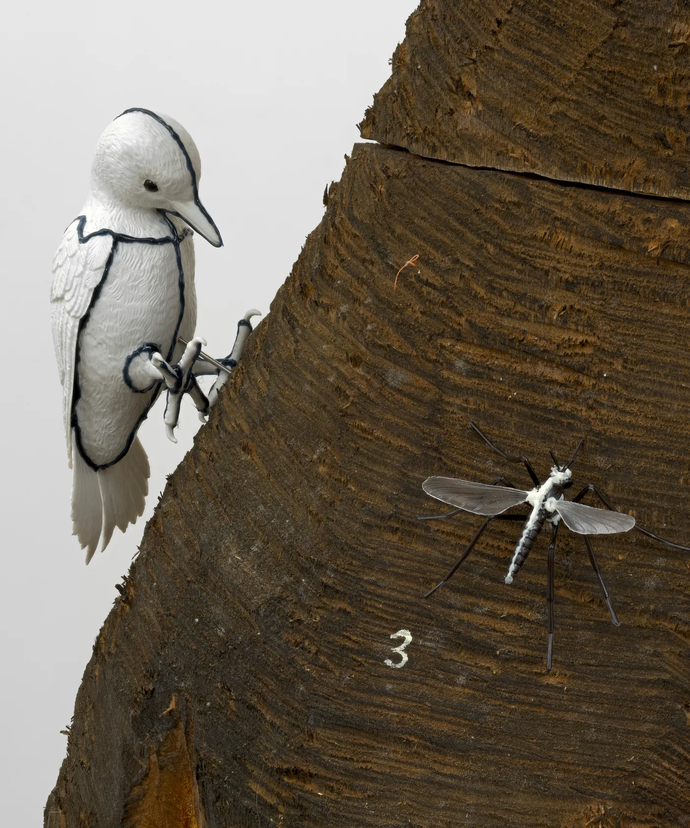 Izumi Kato Untitled, 2020