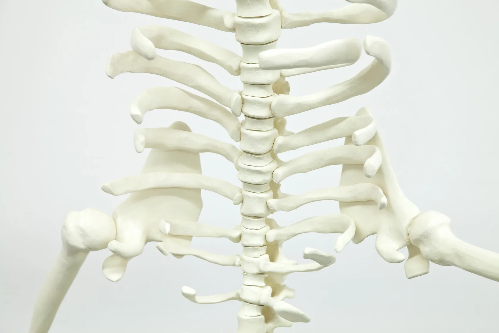 Tom Friedman Untitled (Green Balloon with Skeleton), 2012