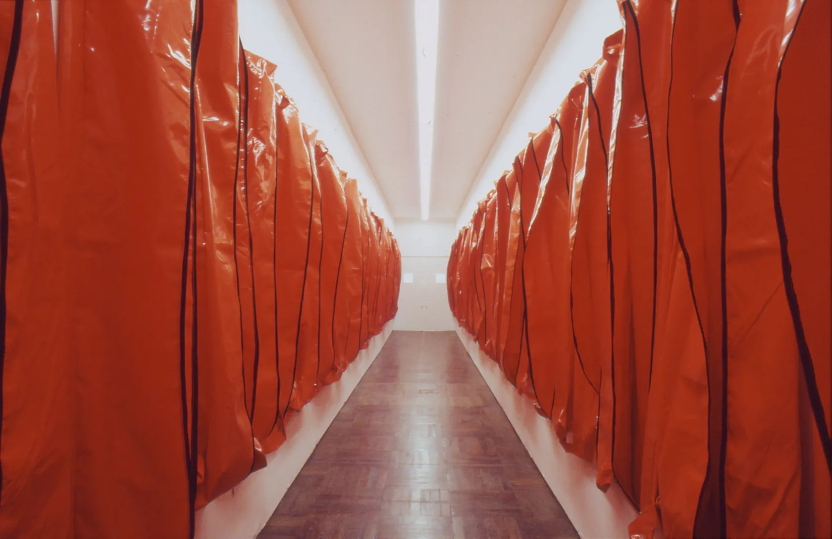 Kendell Geers, Song of the Pig, 2000