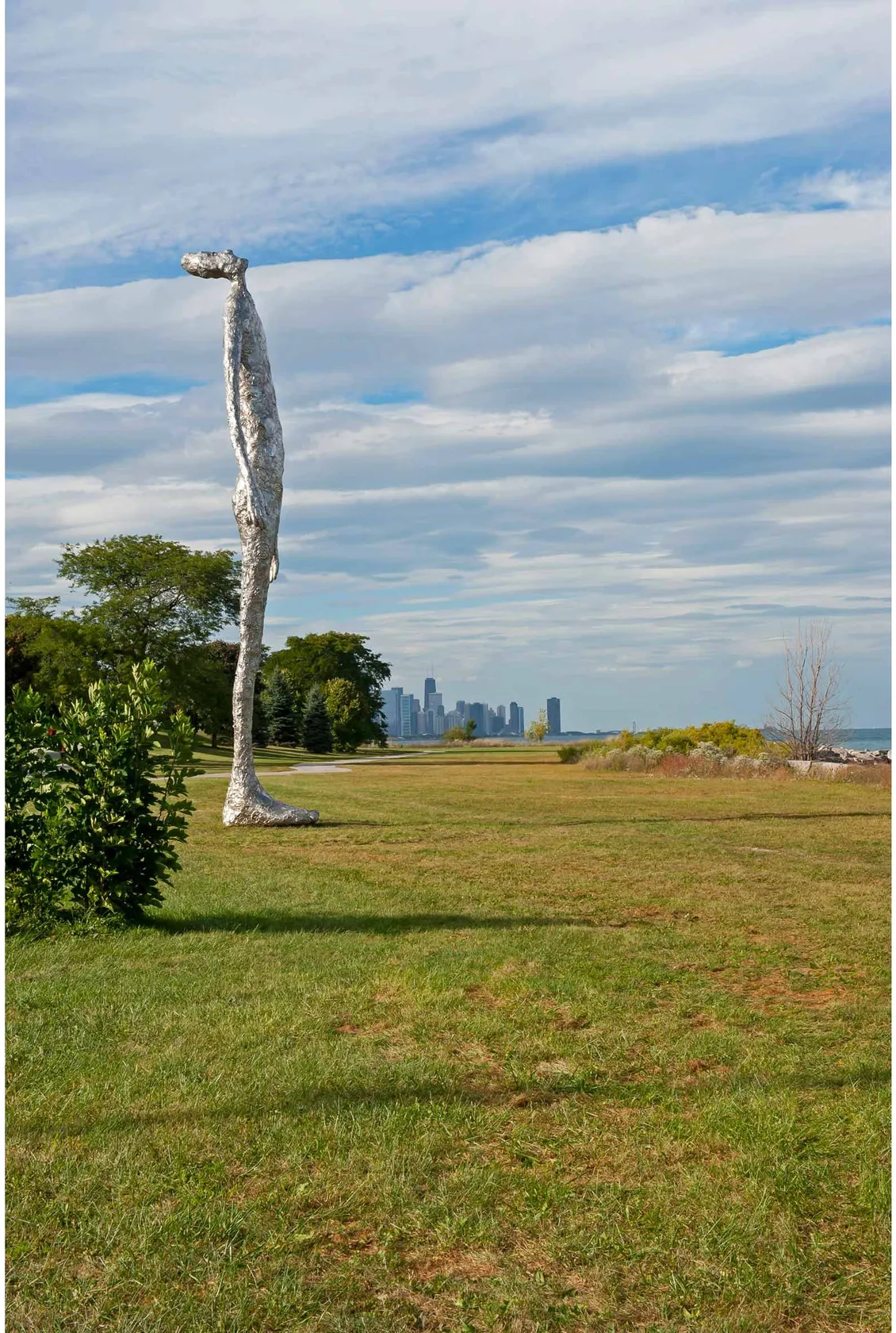 Tom Friedman, Looking Up, 2014