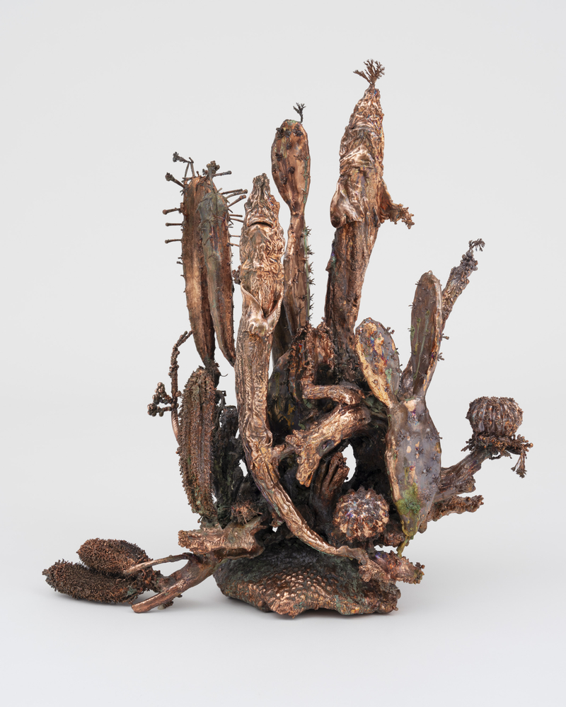 Max&amp;nbsp;Hooper Schneider

Dendrite Bonsai (Shark Xeriscape), 2024

Copper electroplated cacti, succulents, shark pups and wood assemblage

26-3/4&amp;quot; &amp;times; 14-15/16&amp;quot; &amp;times; 28-3/8&amp;quot; (68 cm &amp;times; 38 cm &amp;times; 72 cm) 11&amp;quot; &amp;times; 10-5/8&amp;quot; (28 cm &amp;times; 27 cm), footprint
