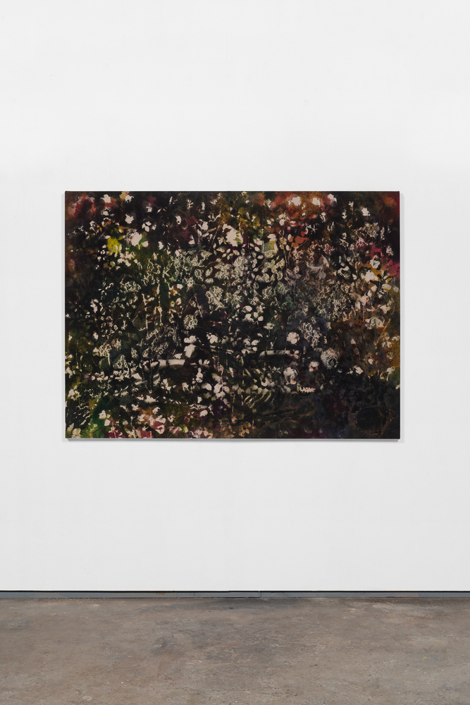 Sam Falls

Forest Floor

2020

Pigment on canvas

48 x 65 inches (121.9 x 165.1 cm)

SFA 357

$50,000